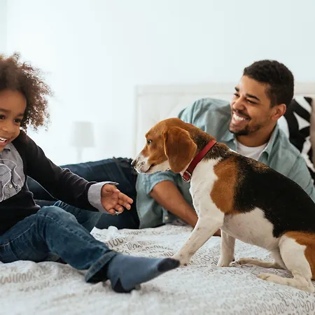 Citadines Kurfuerstendamm Апарт-отель 4*